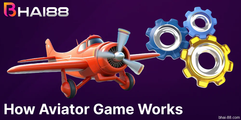 Information about Bhai88 Aviator game and the way it works
